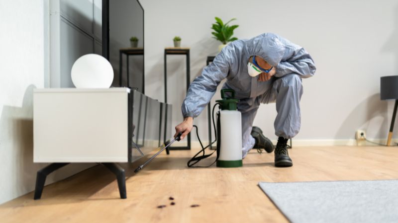 Top 10 Tips for Effective Pest Control in Your Home
